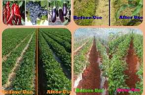 Water soluble humic acid fertilizer and Function